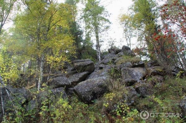 Пеший маршрут (терренкур) Старая мельница (Россия, Белокуриха) фото