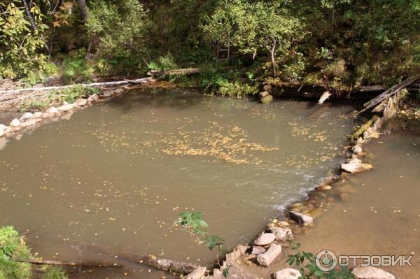 Пеший маршрут (терренкур) Старая мельница (Россия, Белокуриха) фото