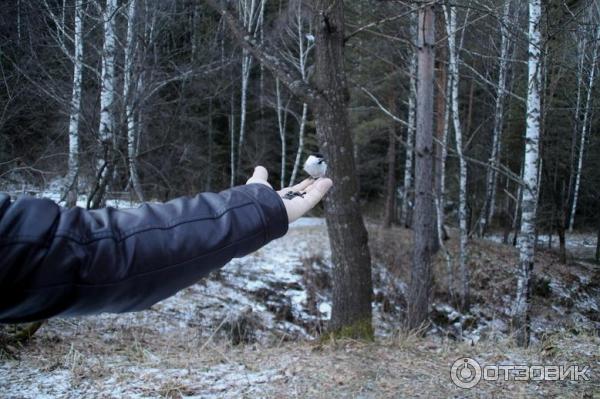 Пеший маршрут (терренкур) Старая мельница (Россия, Белокуриха) фото