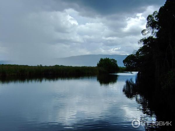 Отдых на Ямайке фото