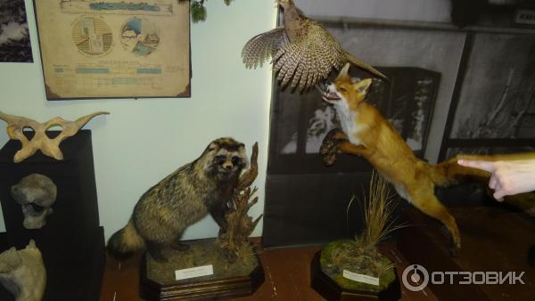 Дом-музей П. А. Кропоткина (Россия, Дмитров) фото