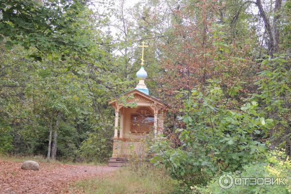 Круиз Санкт-Петербург - Валаам - Санкт-Петербург на теплоходе Санкт-Петербург