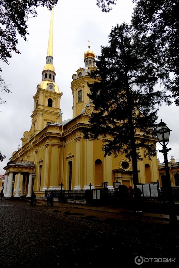 Петропавловский собор (Россия, Санкт-Петербург)