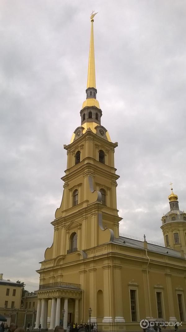 Петропавловский собор (Россия, Санкт-Петербург)