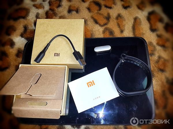 Xiaomi Mi Band