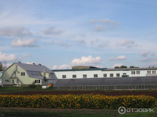 Толга-Ярославль-женск-монастырь