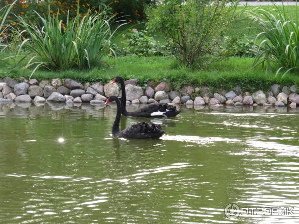 Толга-Ярославль-женск-монастырь
