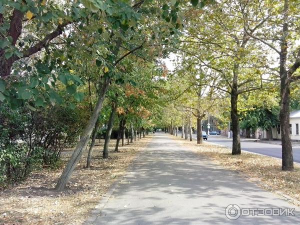 Флотский бульвар Николаев фото