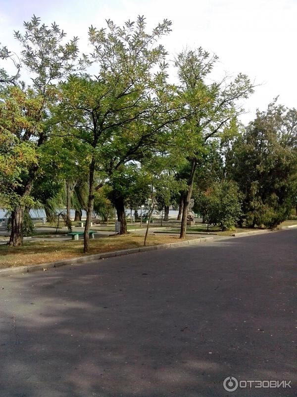 Флотский бульвар Николаев фото