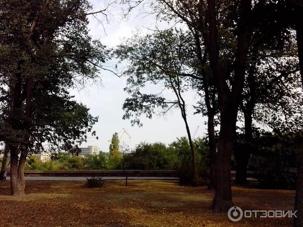 Флотский бульвар Николаев фото