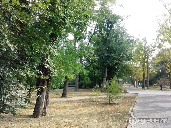 Флотский бульвар Николаев фото