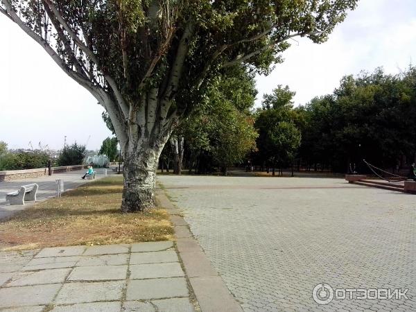 Флотский бульвар Николаев фото