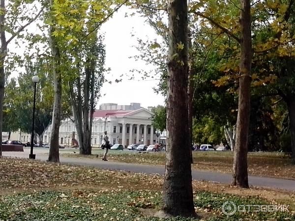 Флотский бульвар Николаев фото