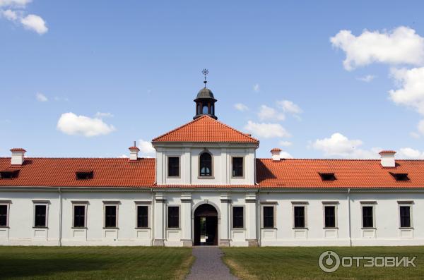 Пажайслис, форестерия