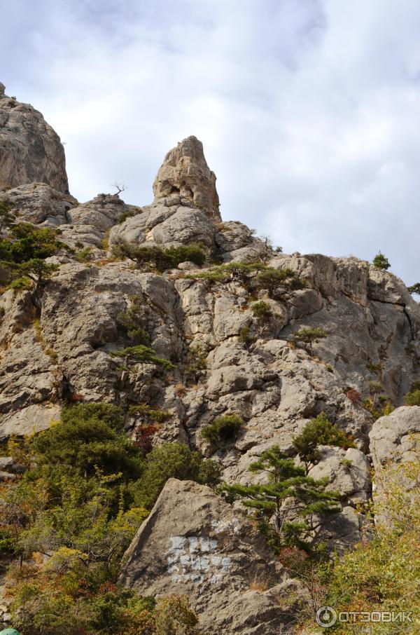 Экскурсия на гору Сокол (Россия, Судак) фото