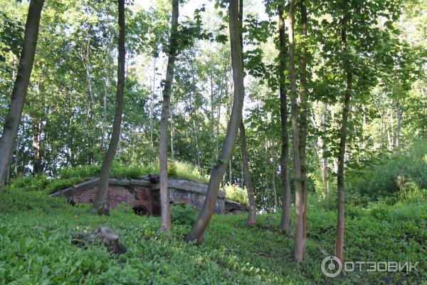 Музей Истории Великой Отечественной Войны Форт # 5 (Россия, Калининград) фото