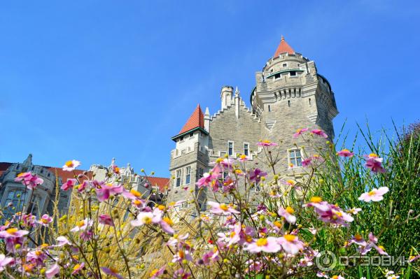 Экскурсия по средневековому замку Каса Лома (Casa Loma) (Канада, Торонто) фото