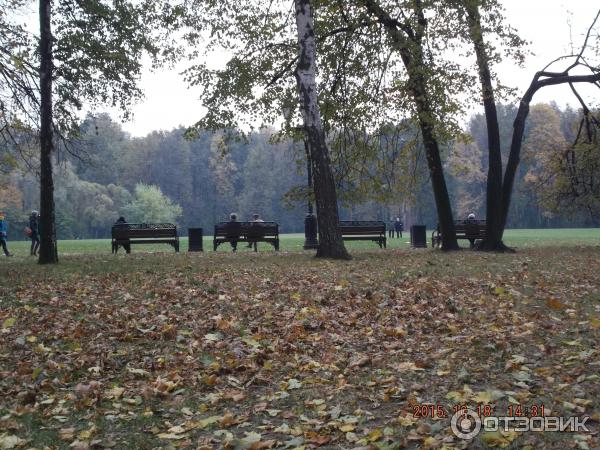 Музей-заповедник Царицыно (Россия, Москва) фото