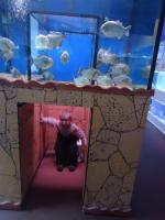 Океанариум "Морской аквариум на Чистых прудах" (Россия, Москва) фото