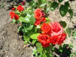 Санаторий "Русь" (Россия, Анапа) фото