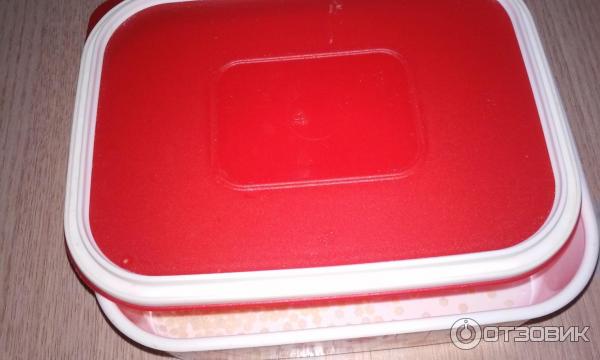 Набор контейнеров Tupperware Акваконтроль Москва фото