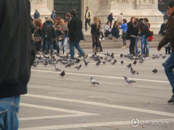 Кафедральный собор Duomo di Milano (Италия, Милан) фото