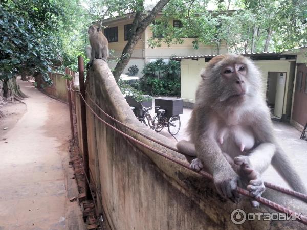 Полуостров Railay