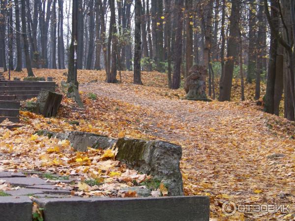 Отдых в г. Трускавец (Украина, Львовская область) фото