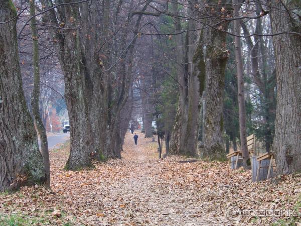 Отдых в г. Трускавец (Украина, Львовская область) фото