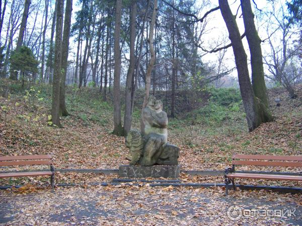 Отдых в г. Трускавец (Украина, Львовская область) фото