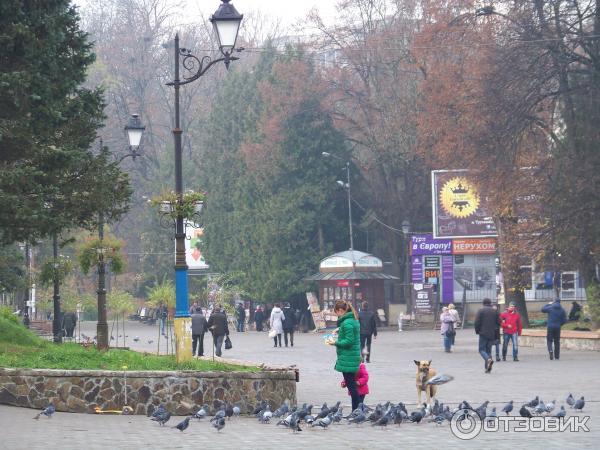 Отдых в г. Трускавец (Украина, Львовская область) фото