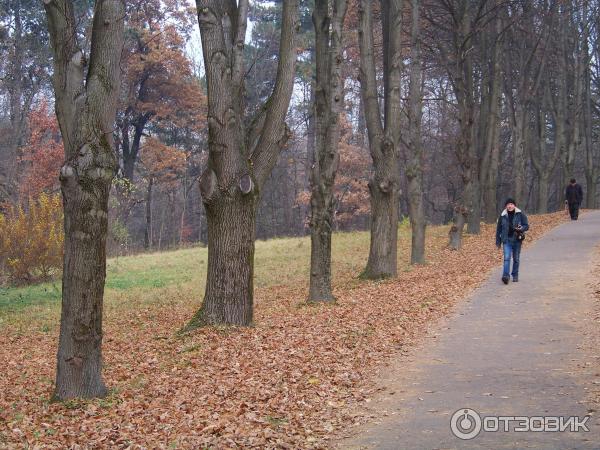 Отдых в г. Трускавец (Украина, Львовская область) фото