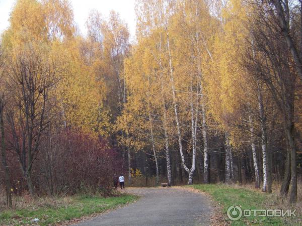 Отдых в г. Трускавец (Украина, Львовская область) фото