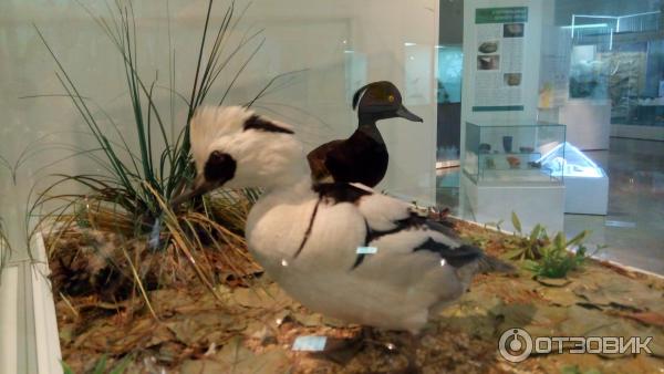 Челябинский городской краеведческий музей