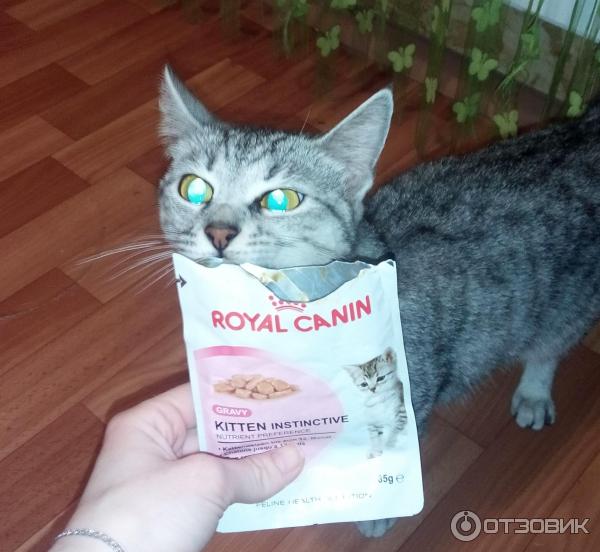 Корм для котят Royal Canin Kitten Instinctive фото