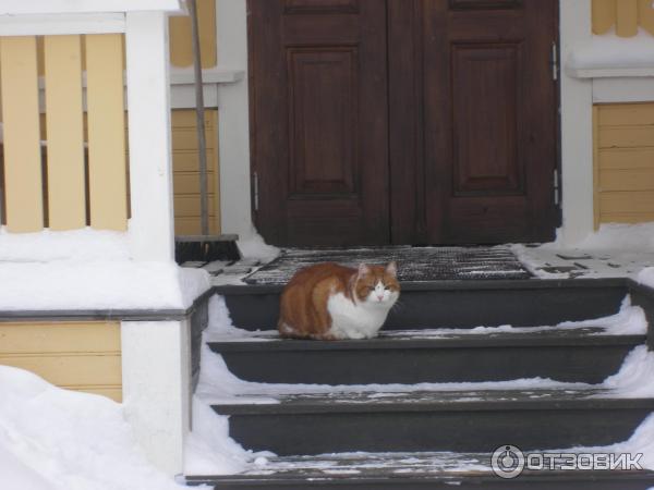 Ново-Валаамский Спасо-Преображенский мужской монастырь (Финляндия, Хейнявеси) фото