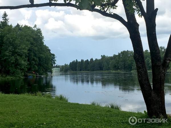 Музей Гатчинский дворец (Россия, Гатчина) фото