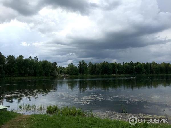 Музей Гатчинский дворец (Россия, Гатчина) фото