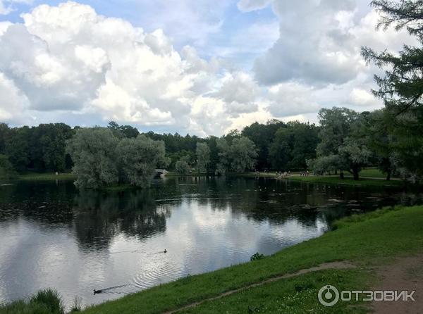 Музей Гатчинский дворец (Россия, Гатчина) фото