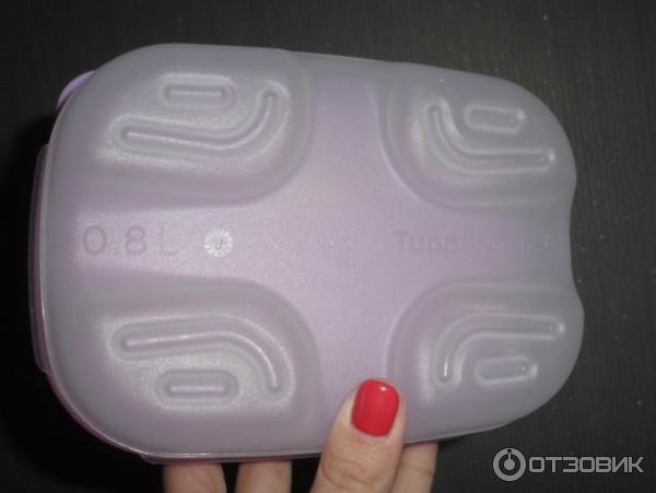 Контейнер Tupperware Умный холодильник фото