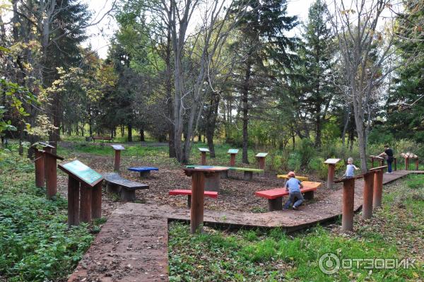 Дендрологический парк, Переславль-Залесский