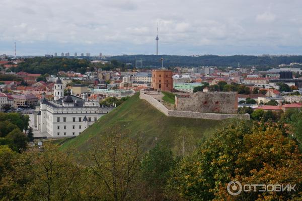 Башня Гедиминаса (Литва, Вильнюс) фото