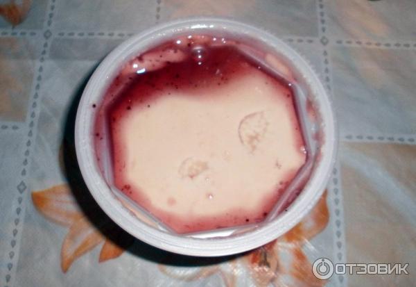 Десерт Creamoire Panna Cotta