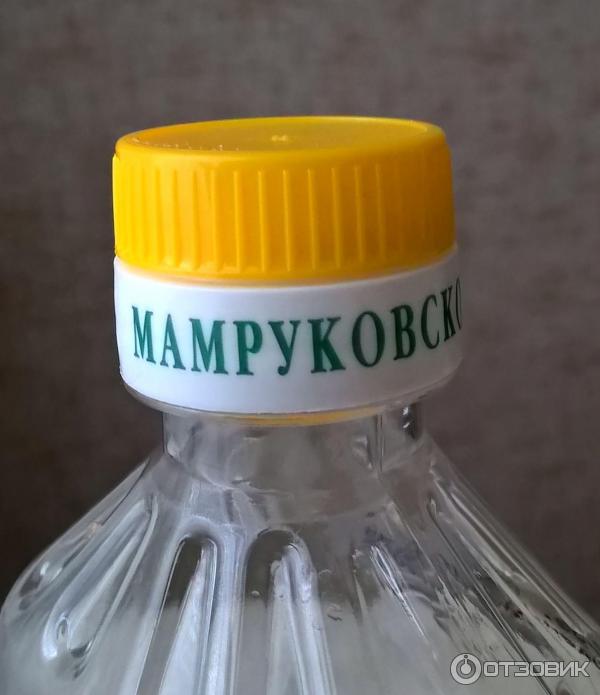 Подсолнечное дезодорированное масло Мамруко Мамруковское рафинированное премиум фото