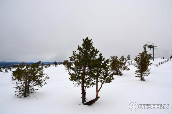 Горнолыжный курорт Леви (Финляндия, Лапландия) фото