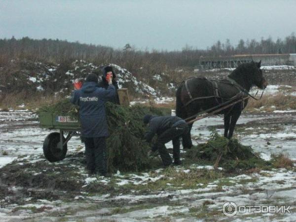 монастырь