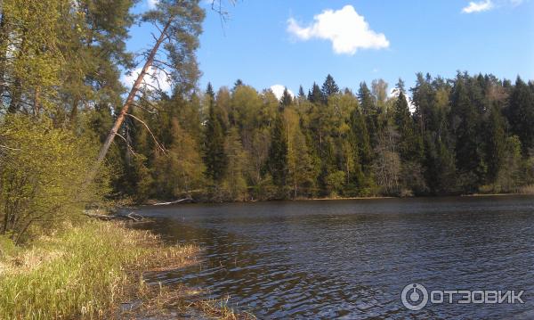 водохранилище