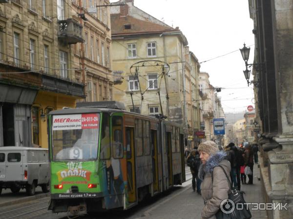 Экскурсия по г. Львов (Украина) фото