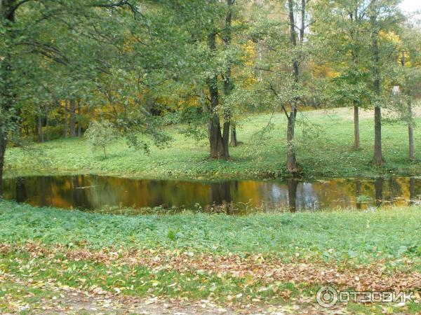 Усадьба М. И. Глинки Новоспасское (Россия, Смоленская область) фото