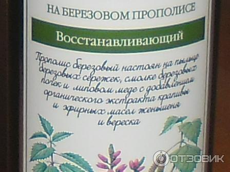 Шампунь Рецепты бабушки Агафьи Традиционный сибирский шампунь №2 на березовом прополисе фото